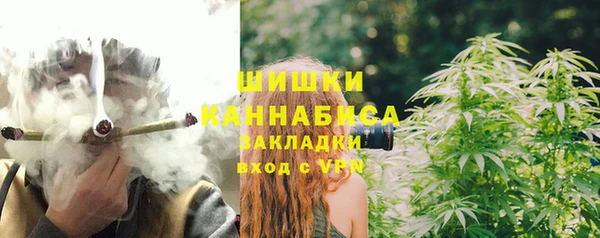 индика Богданович