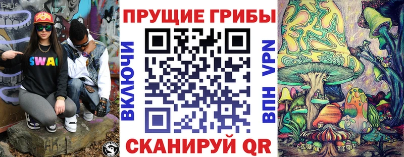 Галлюциногенные грибы мицелий  маркетплейс Telegram  Строитель  МЕГА зеркало 