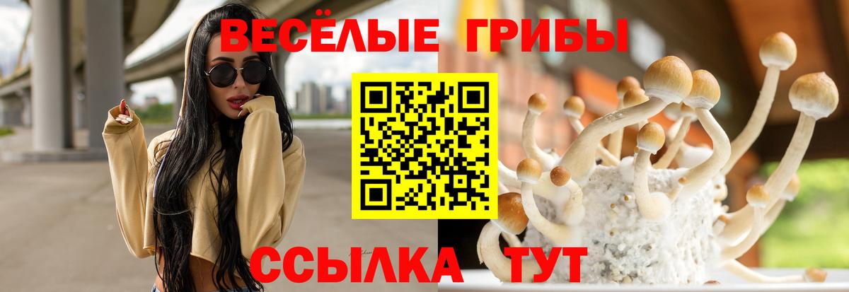 Строитель  Галлюциногенные грибы GOLDEN TEACHER  Вход с VPN 